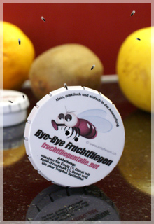 Schluss mit Obstfliegen, Essigfliegenfalle